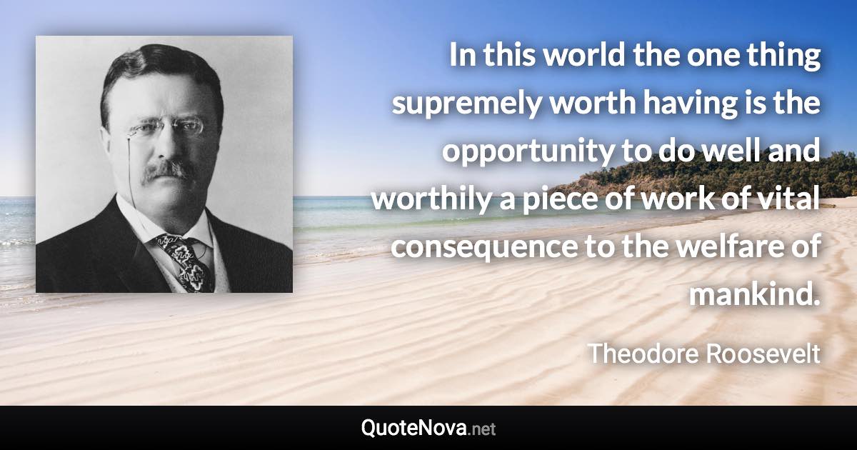 In this world the one thing supremely worth having is the opportunity to do well and worthily a piece of work of vital consequence to the welfare of mankind. - Theodore Roosevelt quote