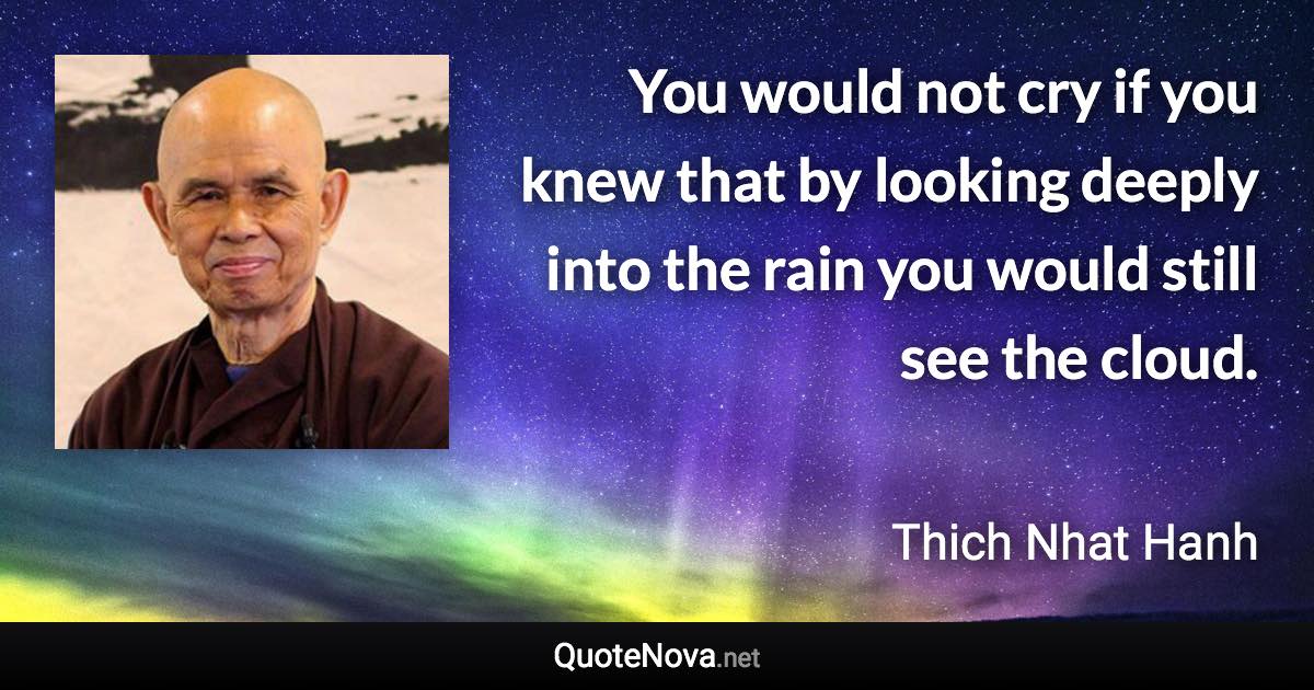 You would not cry if you knew that by looking deeply into the rain you would still see the cloud. - Thich Nhat Hanh quote