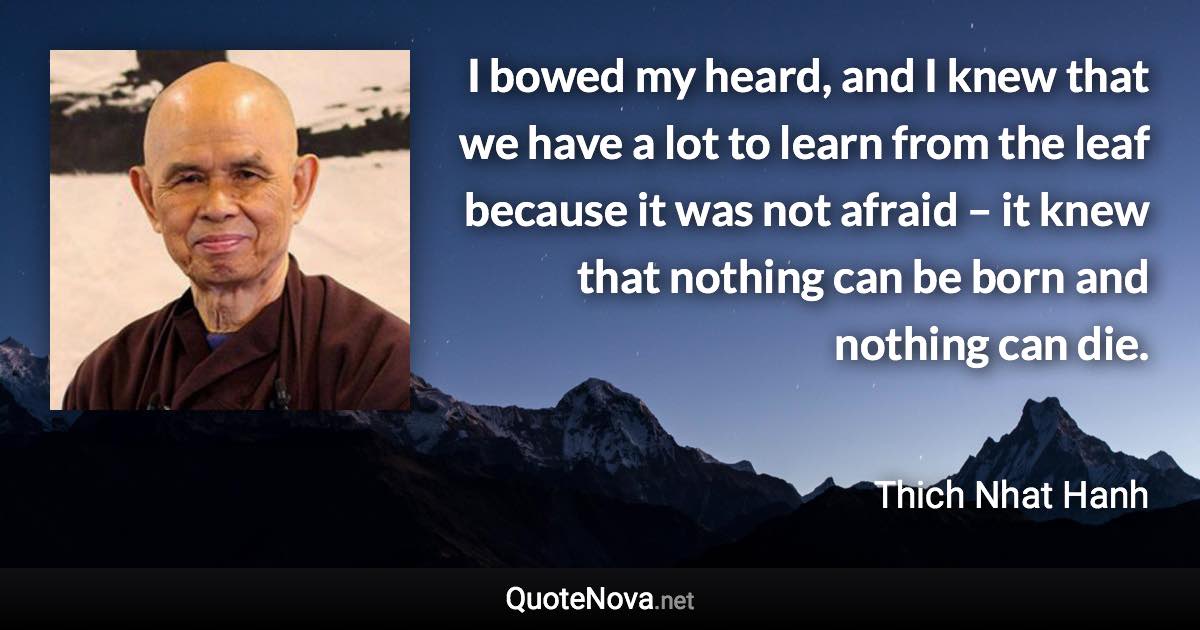 I bowed my heard, and I knew that we have a lot to learn from the leaf because it was not afraid – it knew that nothing can be born and nothing can die. - Thich Nhat Hanh quote