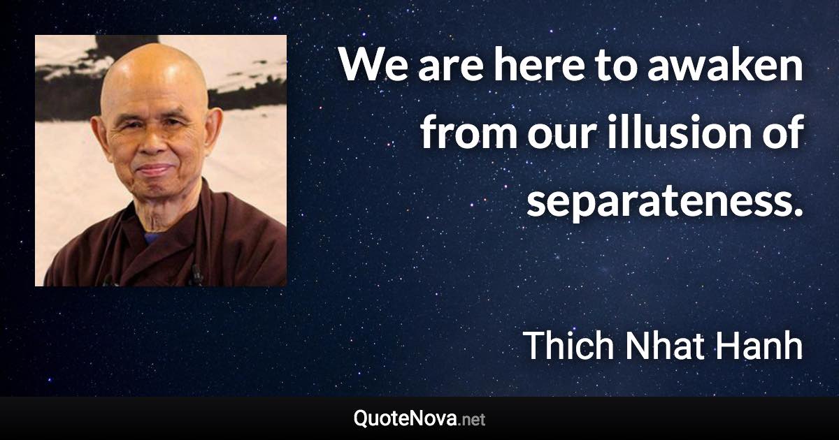 We are here to awaken from our illusion of separateness. - Thich Nhat Hanh quote