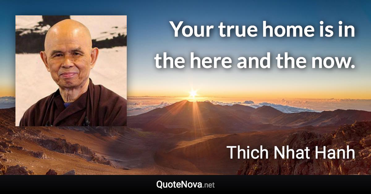 Your true home is in the here and the now. - Thich Nhat Hanh quote