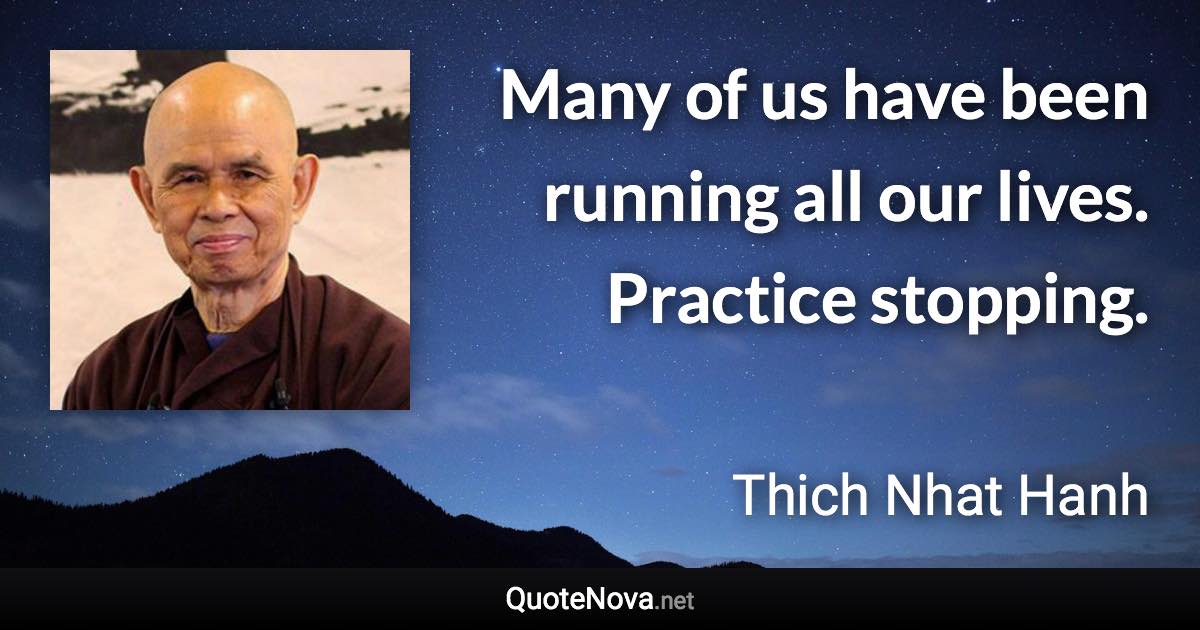 Many of us have been running all our lives. Practice stopping. - Thich Nhat Hanh quote