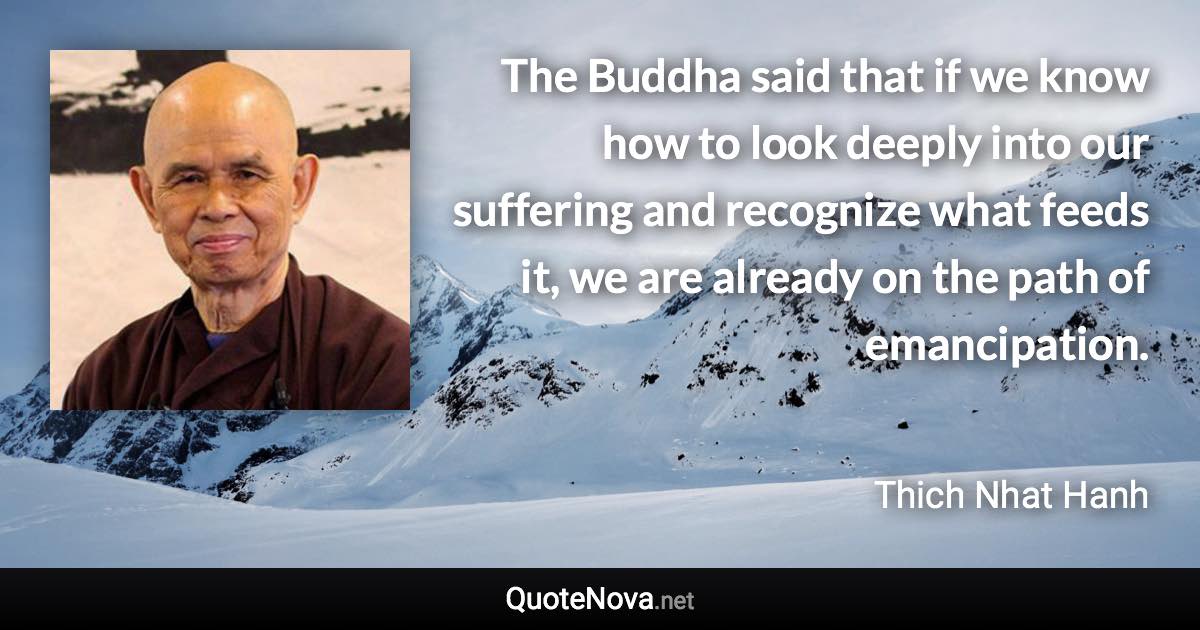 The Buddha said that if we know how to look deeply into our suffering and recognize what feeds it, we are already on the path of emancipation. - Thich Nhat Hanh quote