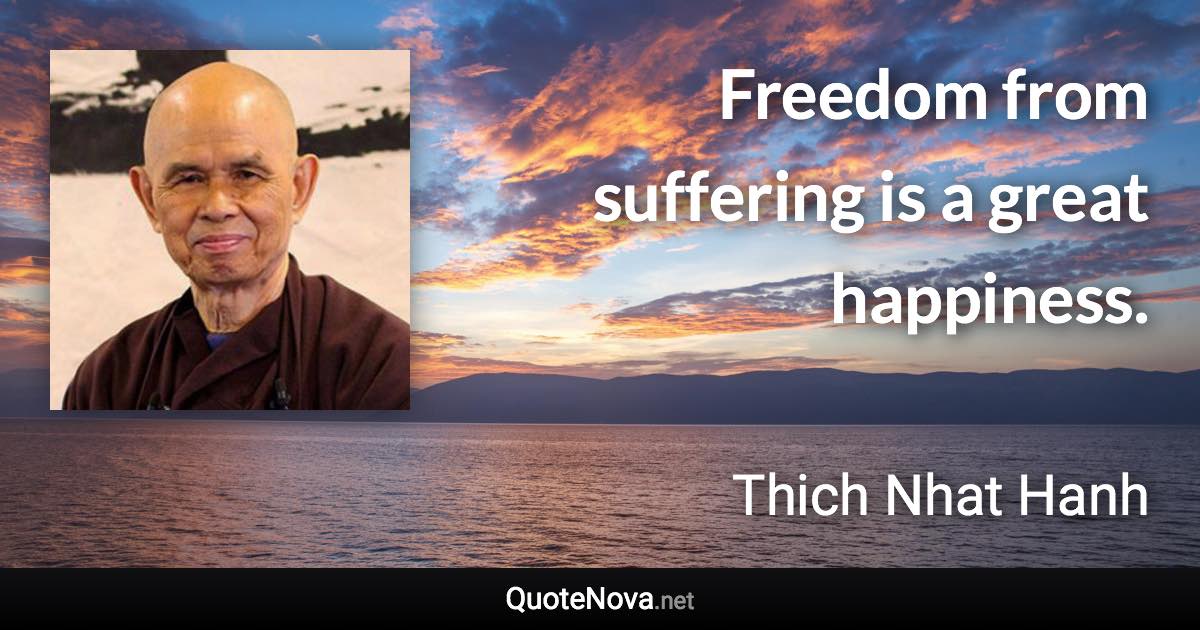 Freedom from suffering is a great happiness. - Thich Nhat Hanh quote