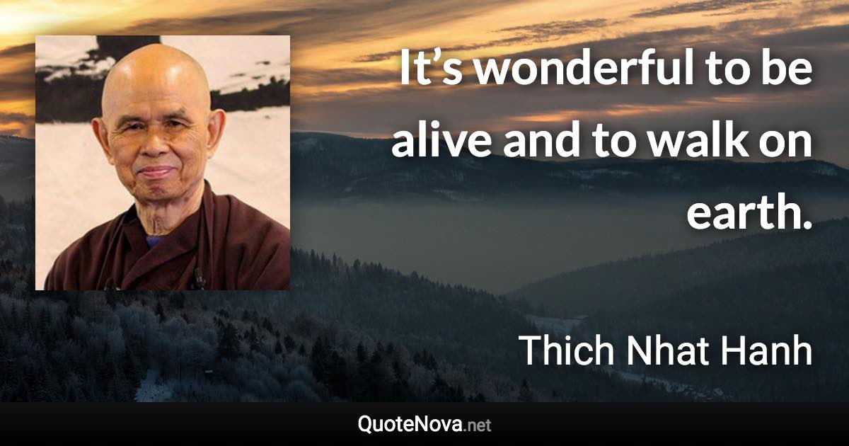 It’s wonderful to be alive and to walk on earth. - Thich Nhat Hanh quote