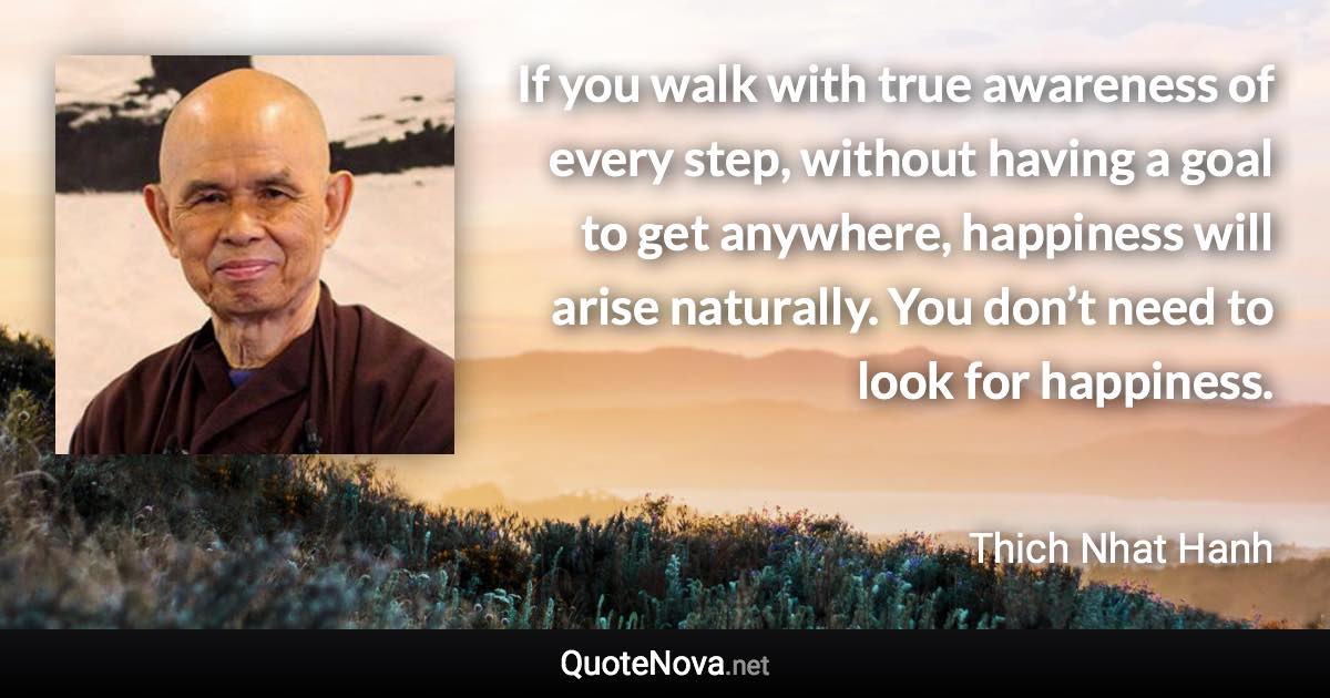 If you walk with true awareness of every step, without having a goal to get anywhere, happiness will arise naturally. You don’t need to look for happiness. - Thich Nhat Hanh quote