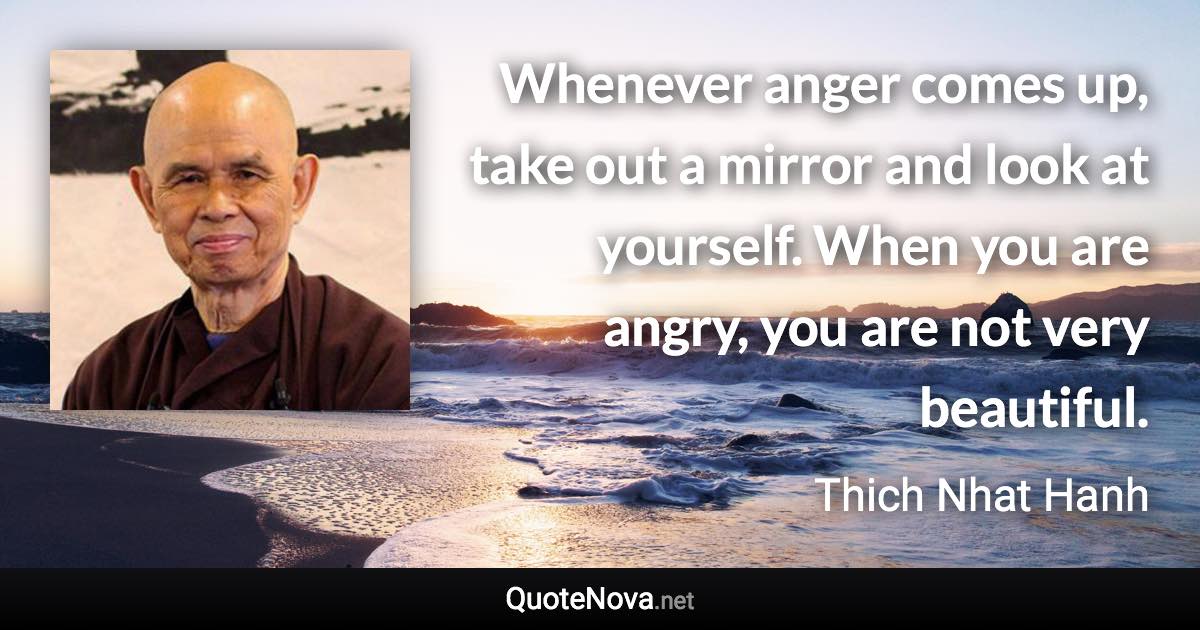 Whenever anger comes up, take out a mirror and look at yourself. When you are angry, you are not very beautiful. - Thich Nhat Hanh quote