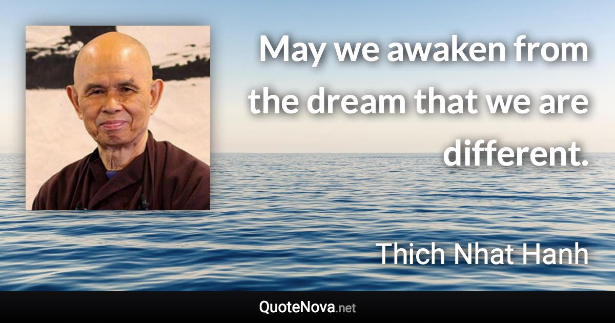 May we awaken from the dream that we are different. - Thich Nhat Hanh quote