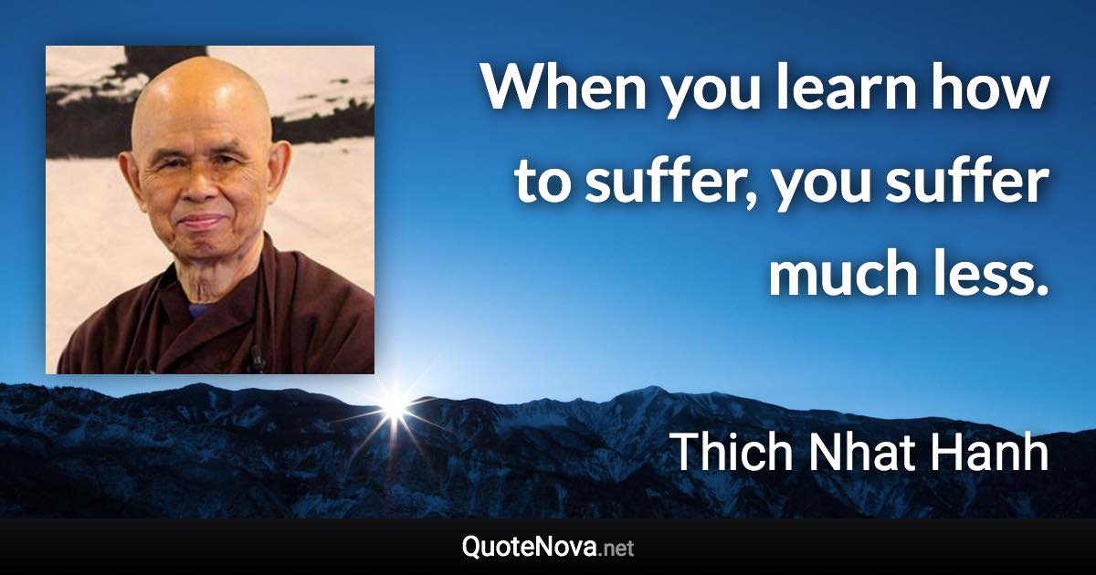 When you learn how to suffer, you suffer much less. - Thich Nhat Hanh quote