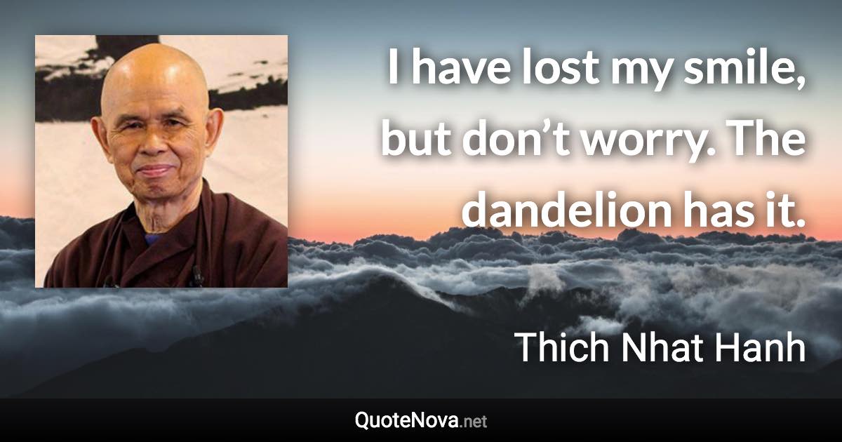 I have lost my smile, but don’t worry. The dandelion has it. - Thich Nhat Hanh quote