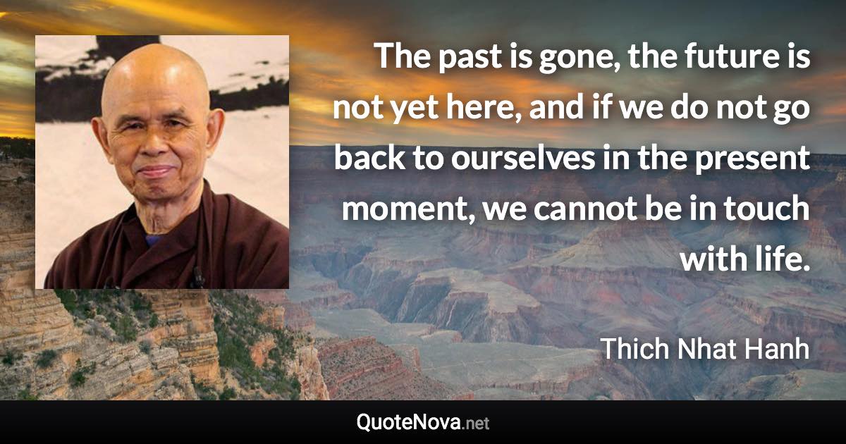 The past is gone, the future is not yet here, and if we do not go back to ourselves in the present moment, we cannot be in touch with life. - Thich Nhat Hanh quote