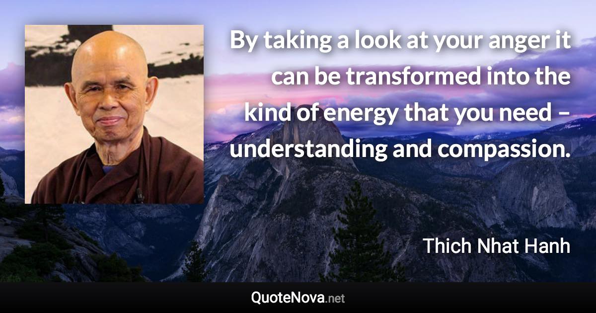 By taking a look at your anger it can be transformed into the kind of energy that you need – understanding and compassion. - Thich Nhat Hanh quote