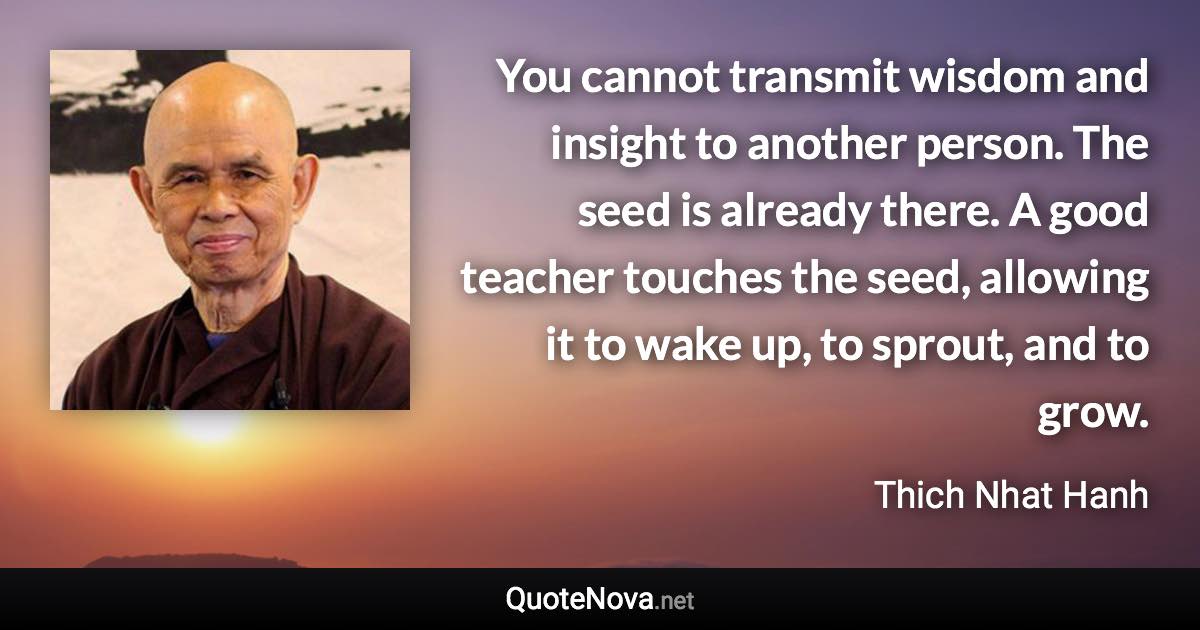 You cannot transmit wisdom and insight to another person. The seed is already there. A good teacher touches the seed, allowing it to wake up, to sprout, and to grow. - Thich Nhat Hanh quote