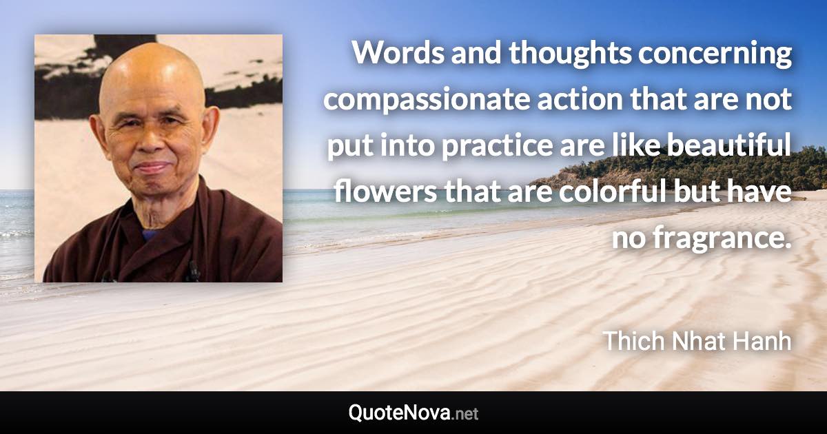 Words and thoughts concerning compassionate action that are not put into practice are like beautiful flowers that are colorful but have no fragrance. - Thich Nhat Hanh quote