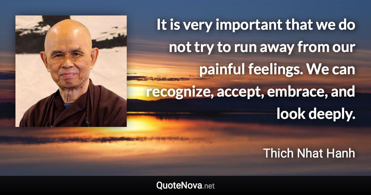 It is very important that we do not try to run away from our painful feelings. We can recognize, accept, embrace, and look deeply. - Thich Nhat Hanh quote