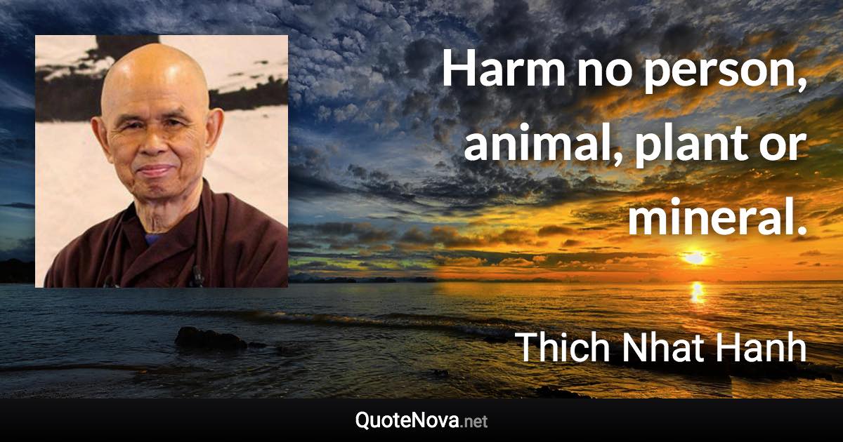 Harm no person, animal, plant or mineral. - Thich Nhat Hanh quote