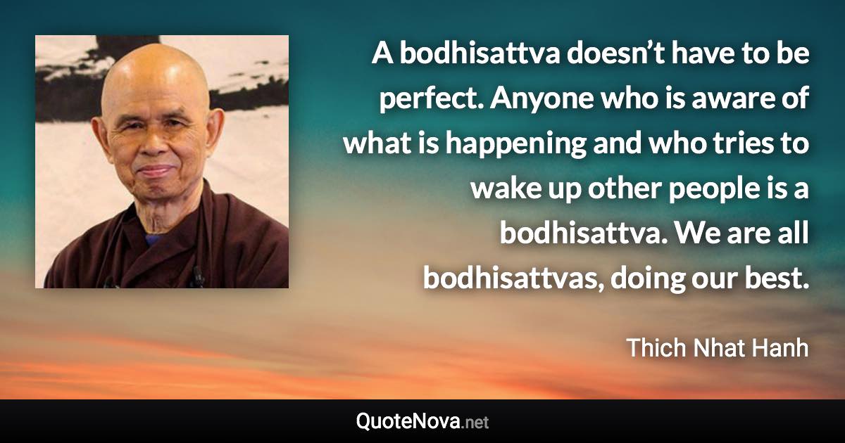 A bodhisattva doesn’t have to be perfect. Anyone who is aware of what is happening and who tries to wake up other people is a bodhisattva. We are all bodhisattvas, doing our best. - Thich Nhat Hanh quote