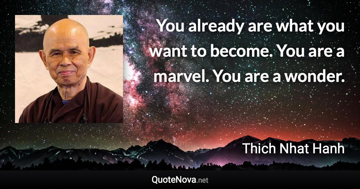 You already are what you want to become. You are a marvel. You are a wonder. - Thich Nhat Hanh quote