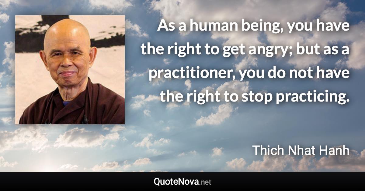 As a human being, you have the right to get angry; but as a practitioner, you do not have the right to stop practicing. - Thich Nhat Hanh quote