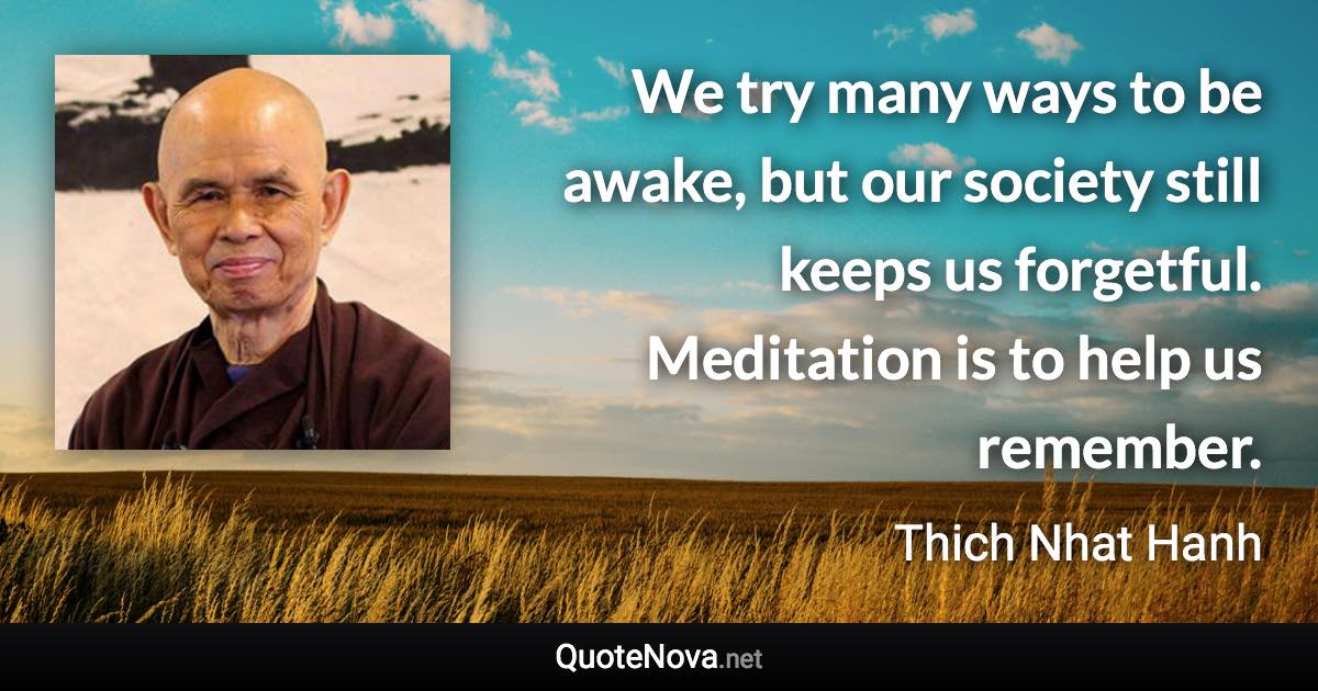 We try many ways to be awake, but our society still keeps us forgetful. Meditation is to help us remember. - Thich Nhat Hanh quote