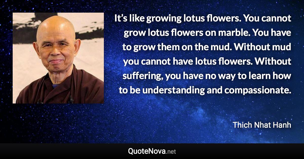 It’s like growing lotus flowers. You cannot grow lotus flowers on marble. You have to grow them on the mud. Without mud you cannot have lotus flowers. Without suffering, you have no way to learn how to be understanding and compassionate. - Thich Nhat Hanh quote