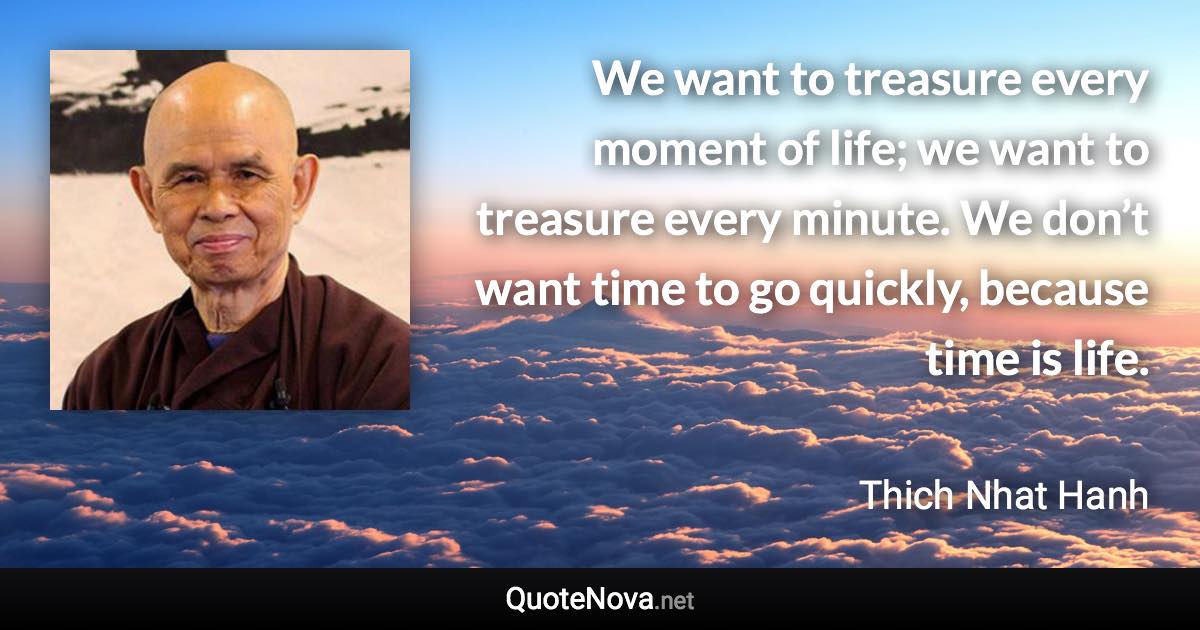 We want to treasure every moment of life; we want to treasure every minute. We don’t want time to go quickly, because time is life. - Thich Nhat Hanh quote