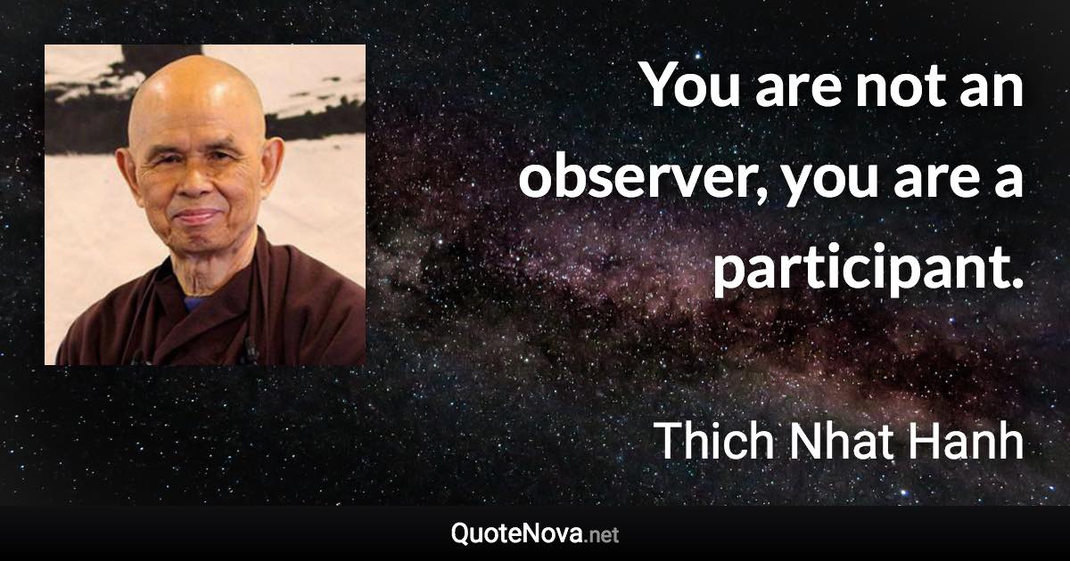 You are not an observer, you are a participant. - Thich Nhat Hanh quote