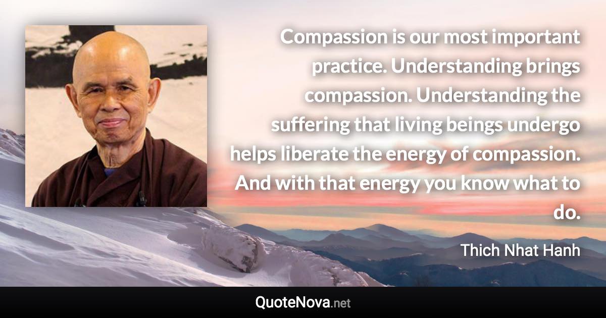 Compassion is our most important practice. Understanding brings compassion. Understanding the suffering that living beings undergo helps liberate the energy of compassion. And with that energy you know what to do. - Thich Nhat Hanh quote