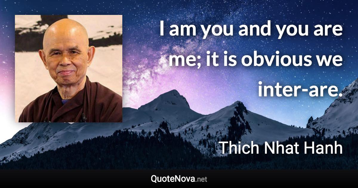 I am you and you are me; it is obvious we inter-are. - Thich Nhat Hanh quote