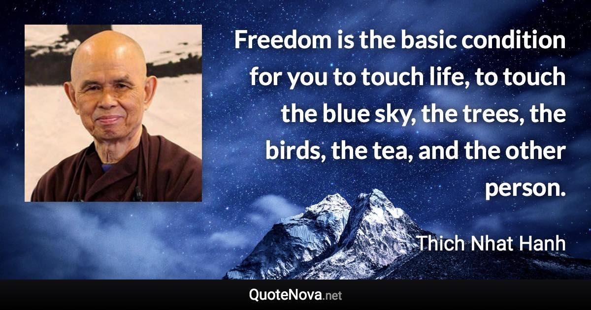 Freedom is the basic condition for you to touch life, to touch the blue sky, the trees, the birds, the tea, and the other person. - Thich Nhat Hanh quote