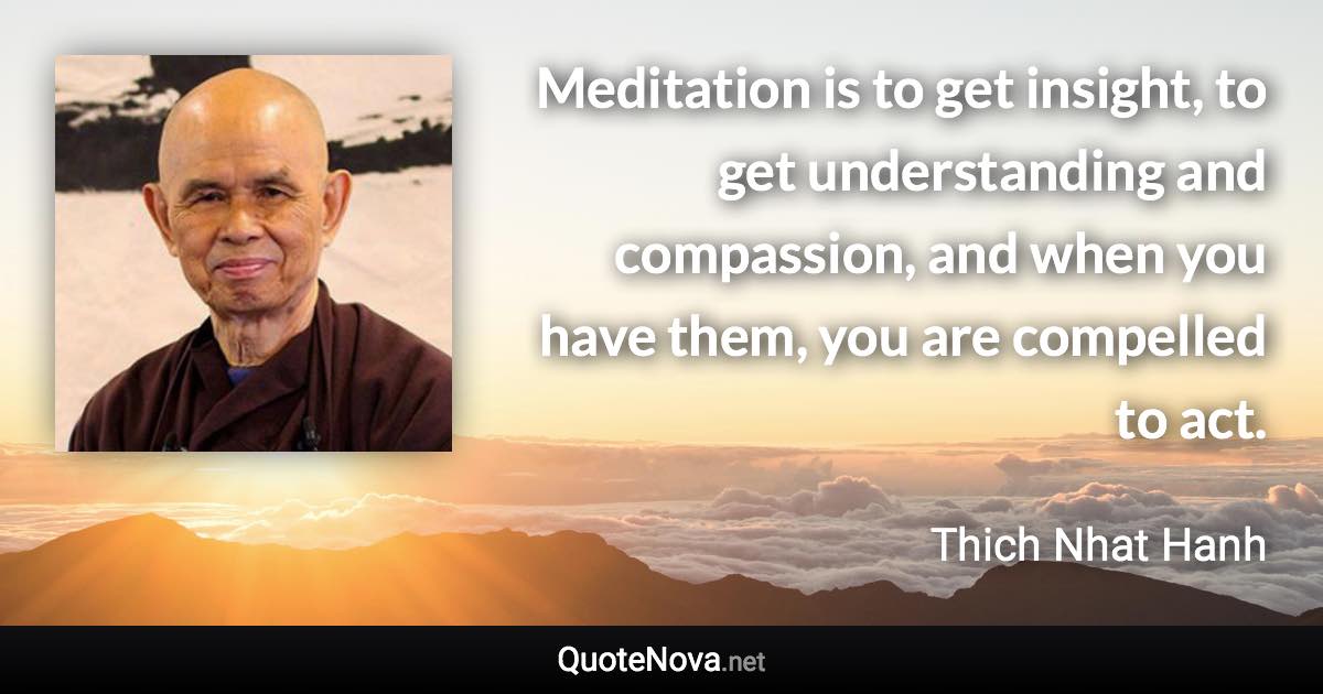 Meditation is to get insight, to get understanding and compassion, and when you have them, you are compelled to act. - Thich Nhat Hanh quote