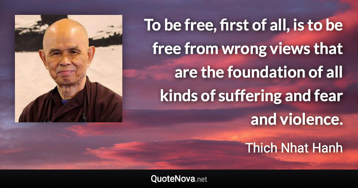 To be free, first of all, is to be free from wrong views that are the foundation of all kinds of suffering and fear and violence. - Thich Nhat Hanh quote