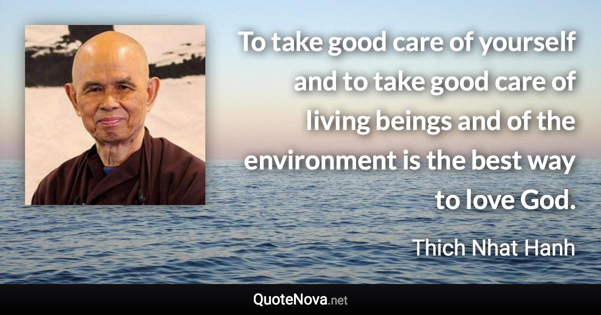 To take good care of yourself and to take good care of living beings and of the environment is the best way to love God. - Thich Nhat Hanh quote