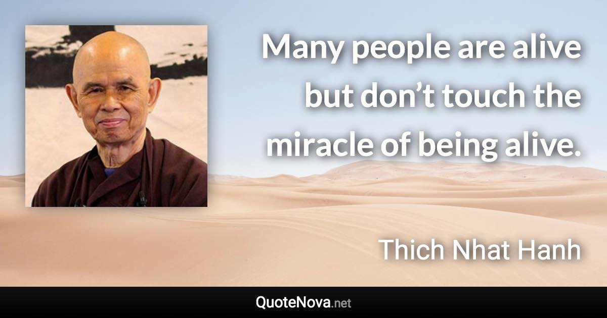 Many people are alive but don’t touch the miracle of being alive. - Thich Nhat Hanh quote