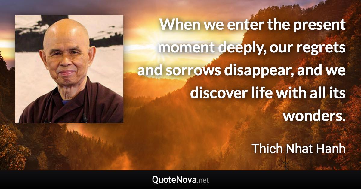 When we enter the present moment deeply, our regrets and sorrows disappear, and we discover life with all its wonders. - Thich Nhat Hanh quote