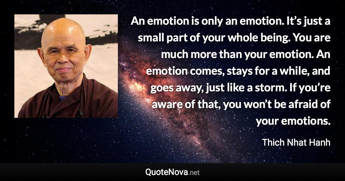 An emotion is only an emotion. It’s just a small part of your whole being. You are much more than your emotion. An emotion comes, stays for a while, and goes away, just like a storm. If you’re aware of that, you won’t be afraid of your emotions. - Thich Nhat Hanh quote