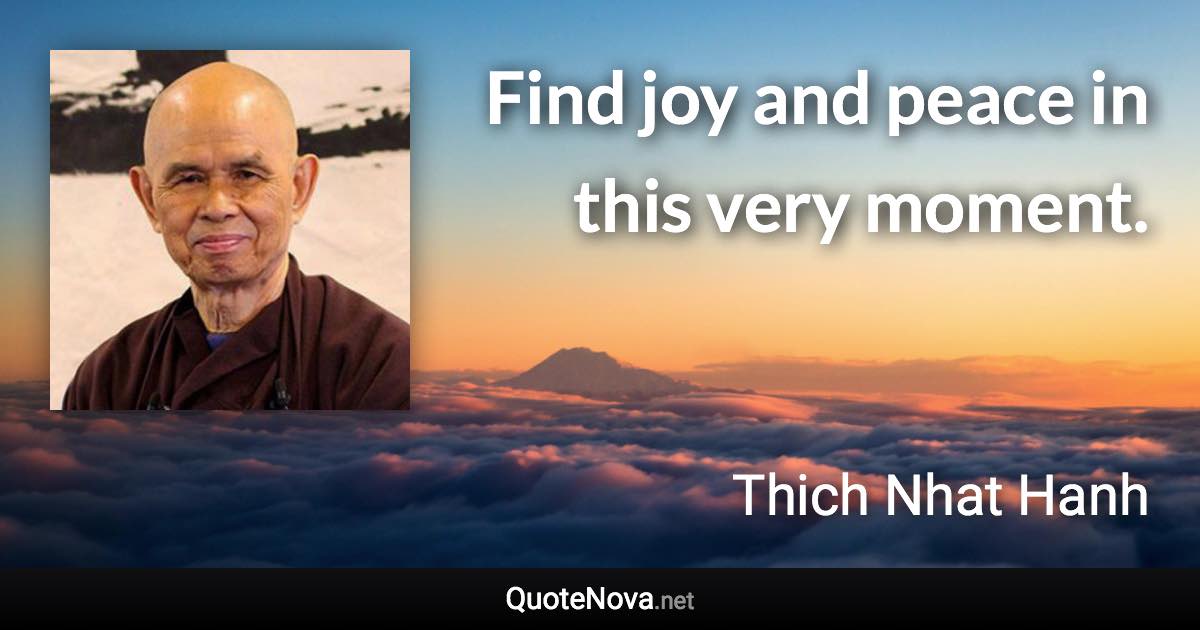 Find joy and peace in this very moment. - Thich Nhat Hanh quote