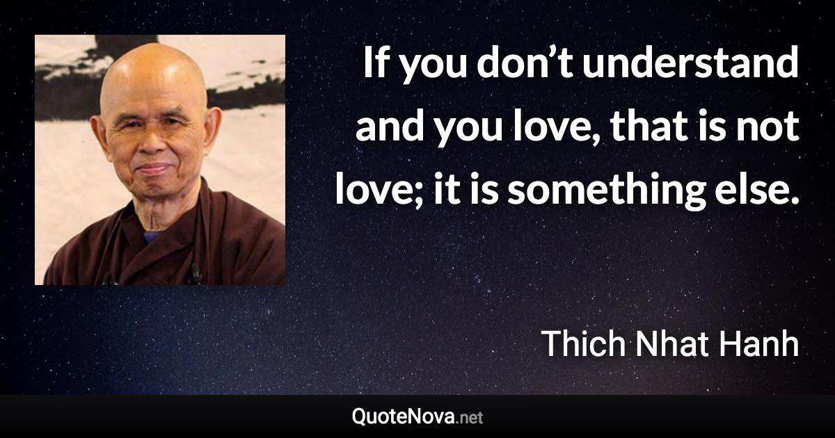 If you don’t understand and you love, that is not love; it is something else. - Thich Nhat Hanh quote