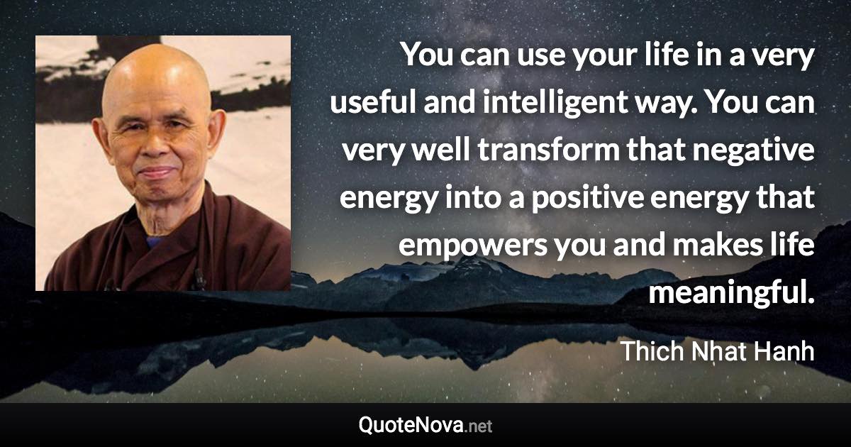 You can use your life in a very useful and intelligent way. You can very well transform that negative energy into a positive energy that empowers you and makes life meaningful. - Thich Nhat Hanh quote