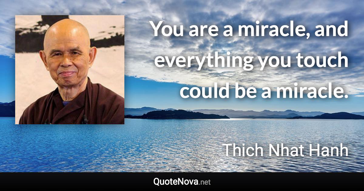 You are a miracle, and everything you touch could be a miracle. - Thich Nhat Hanh quote