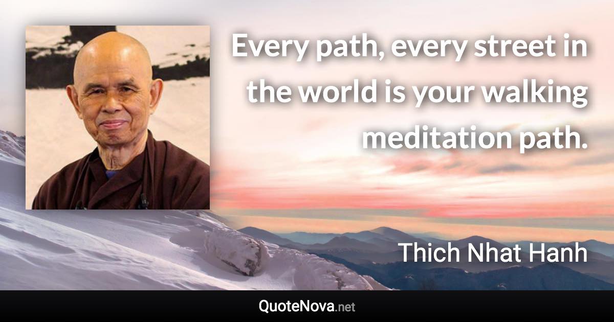 Every path, every street in the world is your walking meditation path. - Thich Nhat Hanh quote