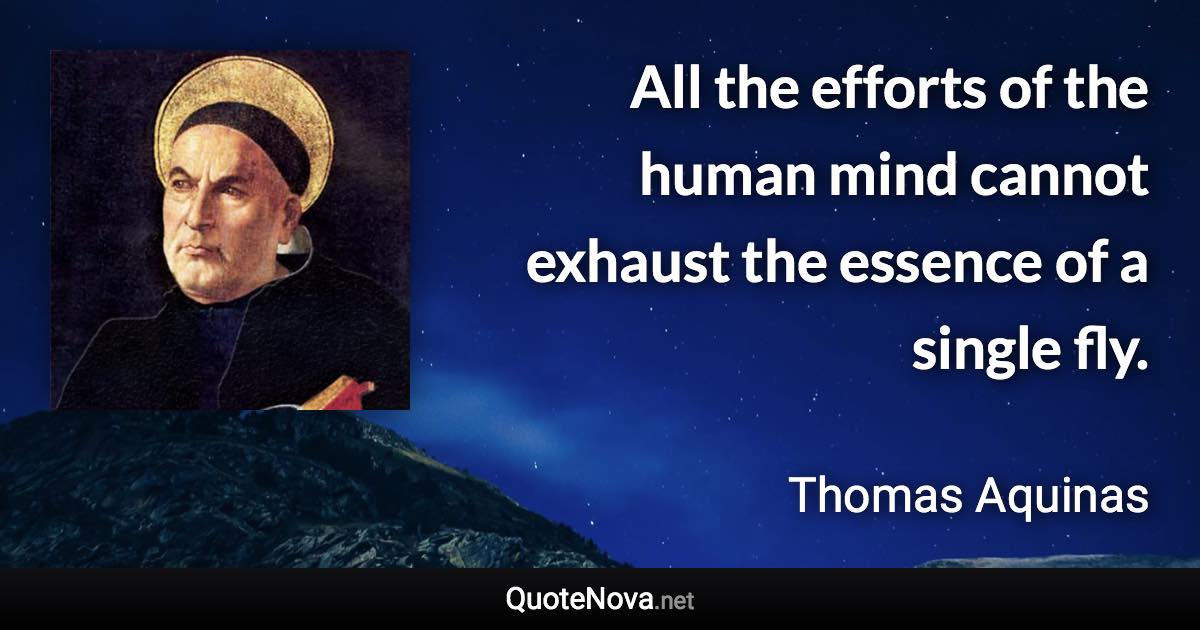 All the efforts of the human mind cannot exhaust the essence of a single fly. - Thomas Aquinas quote