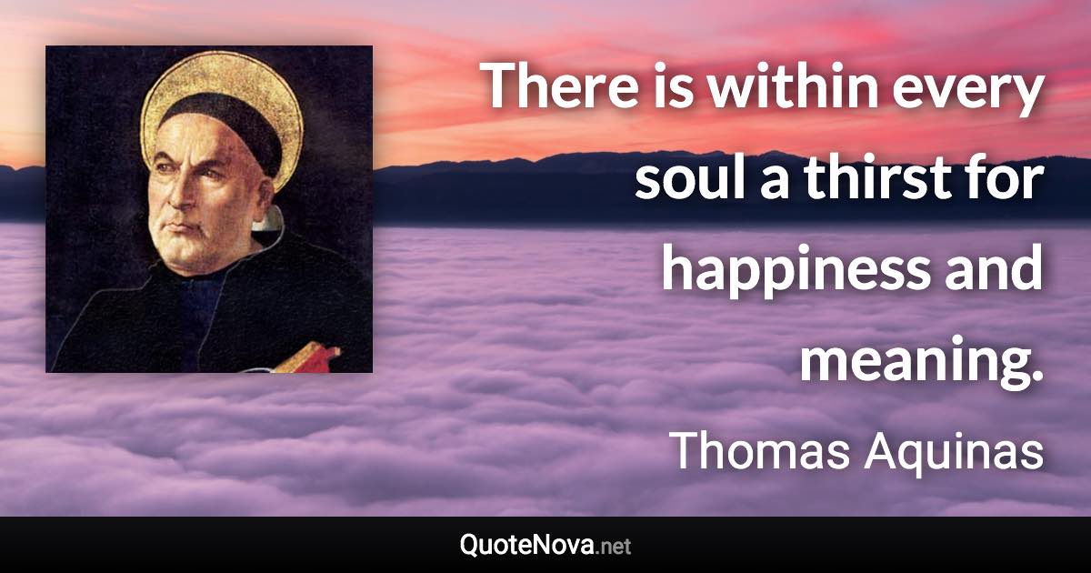 There is within every soul a thirst for happiness and meaning. - Thomas Aquinas quote