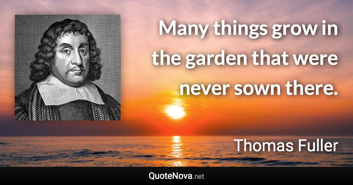 Many things grow in the garden that were never sown there. - Thomas Fuller quote