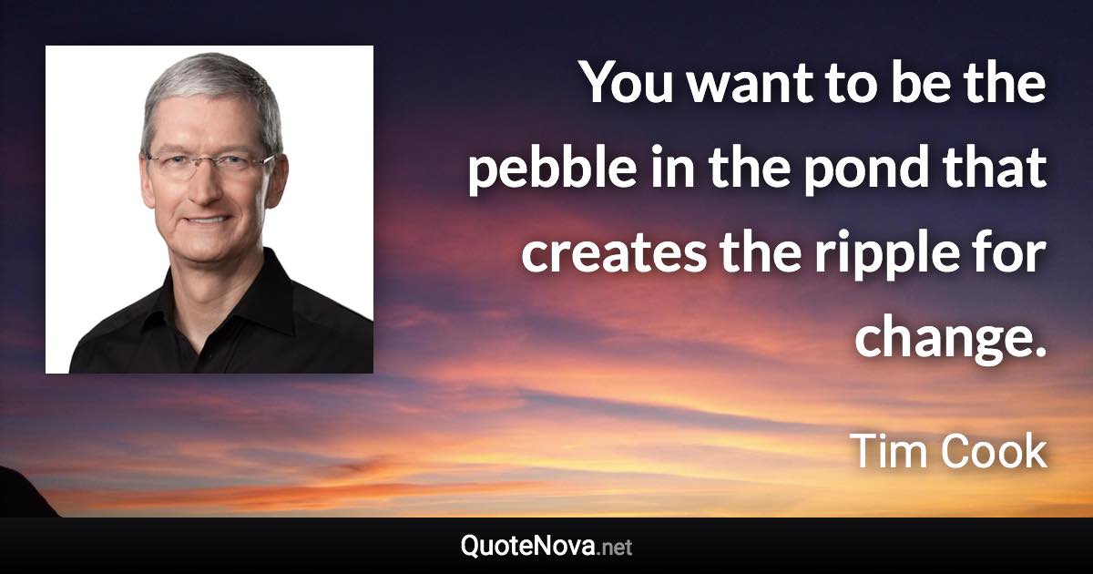 You want to be the pebble in the pond that creates the ripple for change. - Tim Cook quote