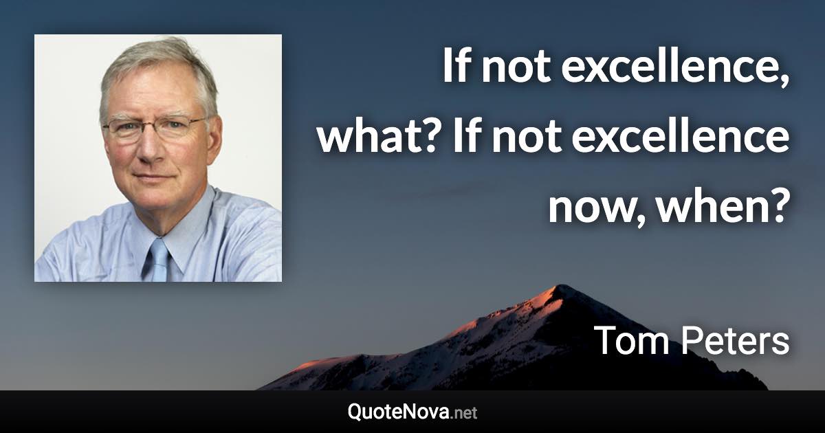 If not excellence, what? If not excellence now, when? - Tom Peters quote