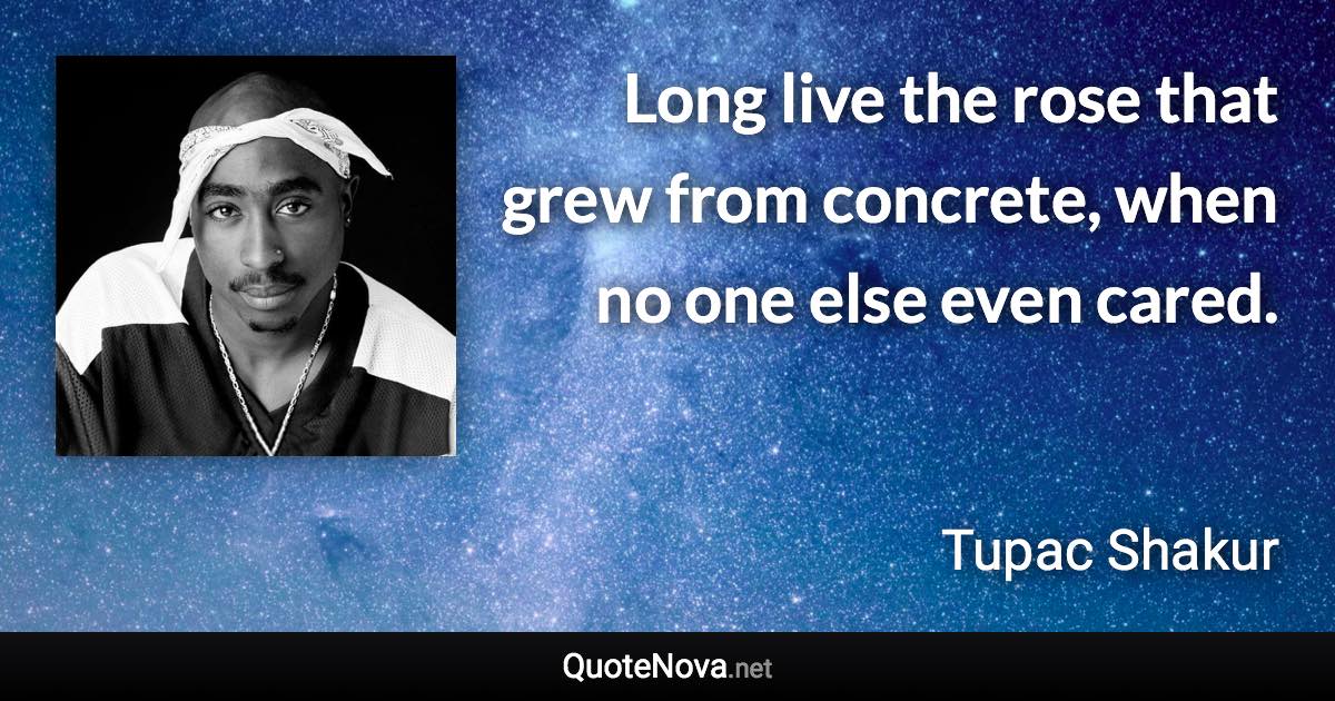 Long live the rose that grew from concrete, when no one else even cared. - Tupac Shakur quote