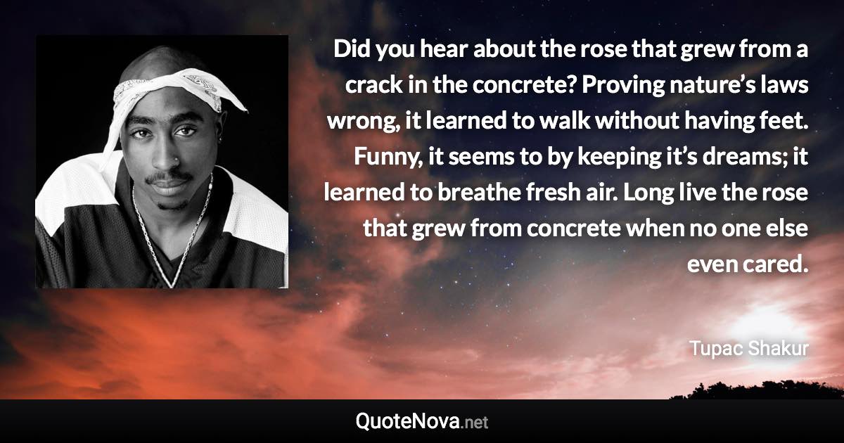 Did you hear about the rose that grew from a crack in the concrete? Proving nature’s laws wrong, it learned to walk without having feet. Funny, it seems to by keeping it’s dreams; it learned to breathe fresh air. Long live the rose that grew from concrete when no one else even cared. - Tupac Shakur quote