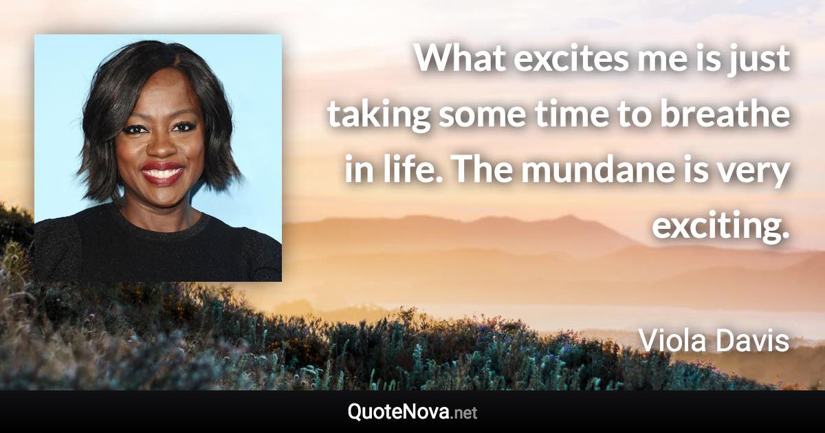 What excites me is just taking some time to breathe in life. The mundane is very exciting. - Viola Davis quote