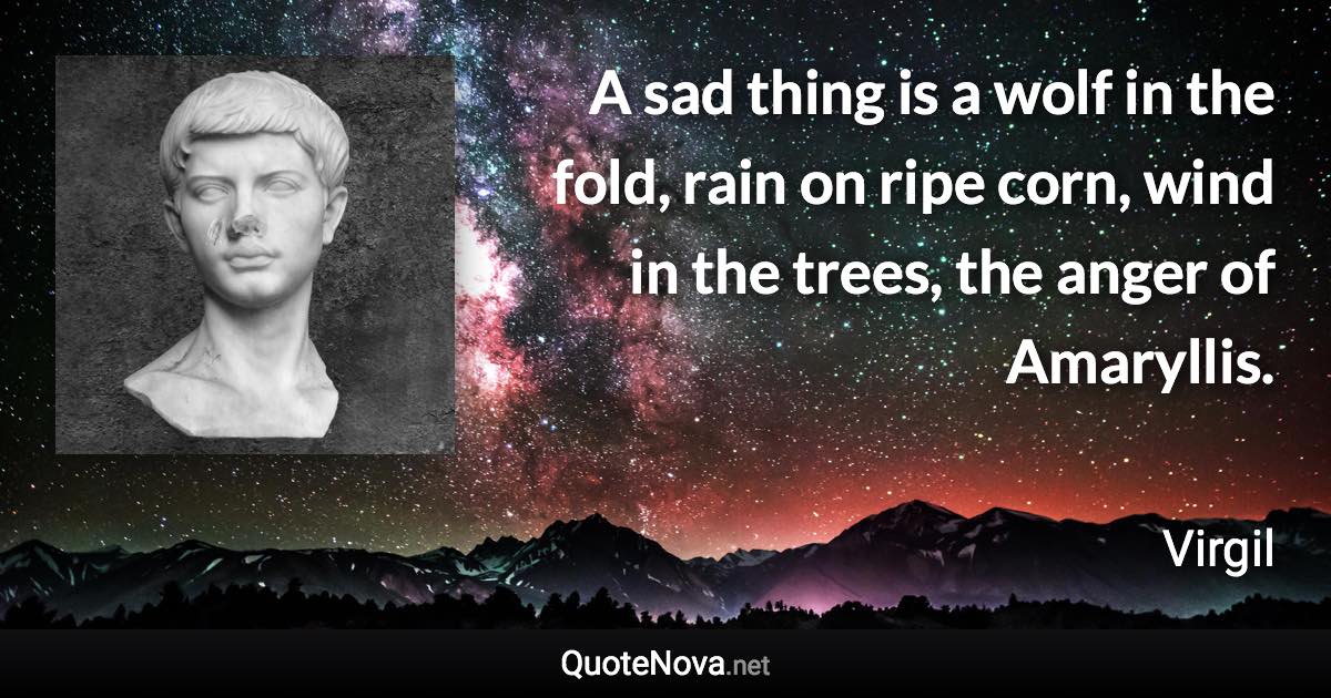 A sad thing is a wolf in the fold, rain on ripe corn, wind in the trees, the anger of Amaryllis. - Virgil quote
